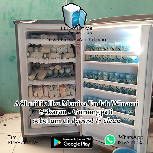 #peloporfreezerasi #asieksklusif #freezerasi #freezerasisemarang #freezerasisolo #sewafreezerasi #sewafreezerasisemarang #sewafreezerasisolo #sewafreezerasibulanan #sewafreezerasibulanansemarang #sewafreezerasibulanansolo #sewafreezerasikotasemarang #sewafreezerasikotasolo