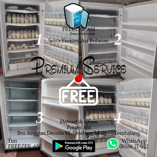 #peloporfreezerasi #asieksklusif #freezerasi #freezerasisemarang #freezerasisolo #sewafreezerasi #sewafreezerasisemarang #sewafreezerasisolo #sewafreezerasibulanan #sewafreezerasibulanansemarang #sewafreezerasibulanansolo #sewafreezerasikotasemarang #sewafreezerasikotasolo